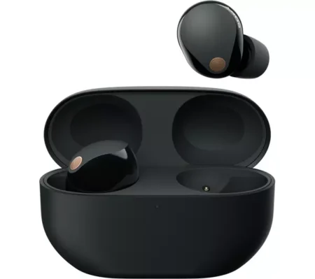 Sony Earbuds